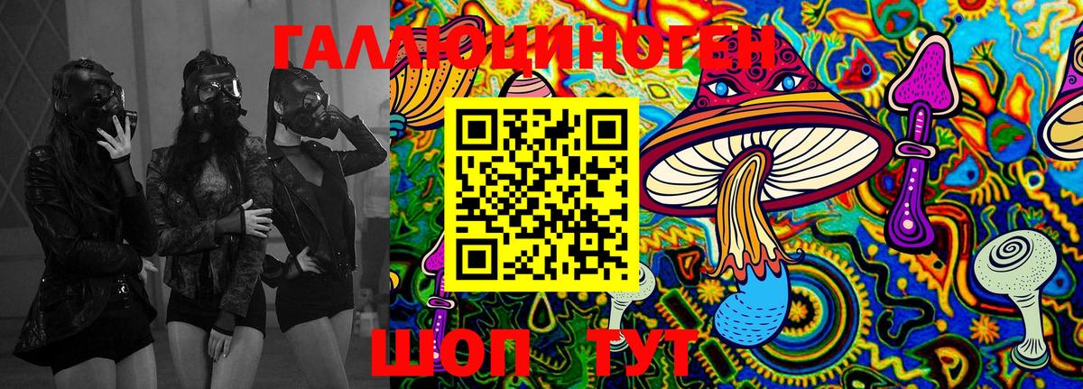 Псилоцибиновые грибы мицелий Бор